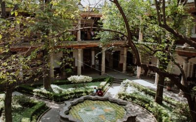 Museo Franz Mayer, reabre nuevamente