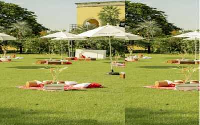 ‘Stellar Picnic’, en su edición Otoñal,