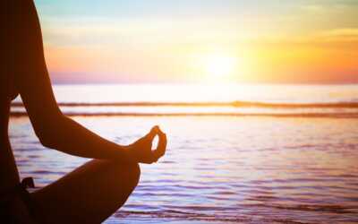 El wellness en México; One With You