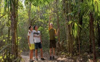 Corredor natural en Quintana Roo