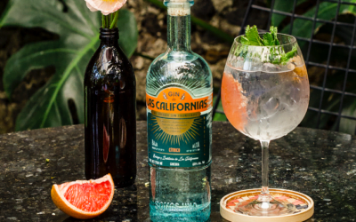 Gin de Las Californias: dos países, un espíritu