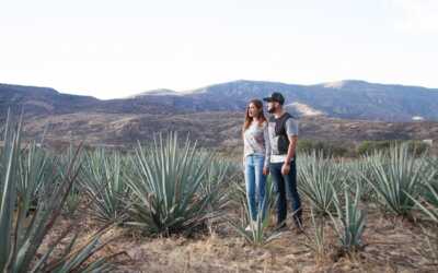 Guanajuato es tierra de tequila