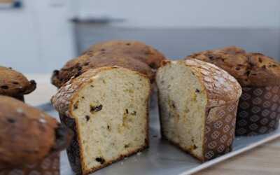 Disfruta la temporada con el Panettone de Panio
