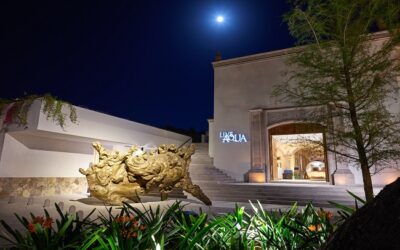 Live Aqua San Miguel de Allende