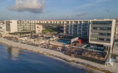 Apertura de Devossion by Live Aqua